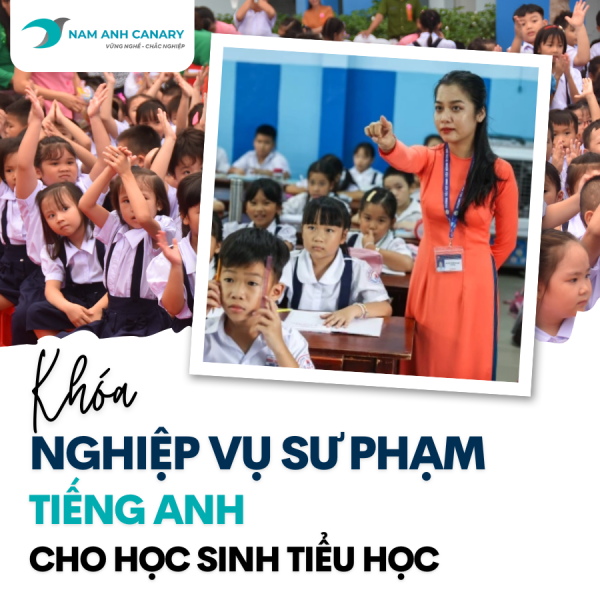Khoá Bồi dưỡng Nghiệp vụ sư phạm Tiếng Anh cho Tiểu học