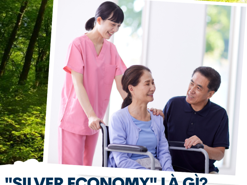 Silver Economy là gì? 3 cơ hội việc làm ngành chăm sóc người cao tuổi