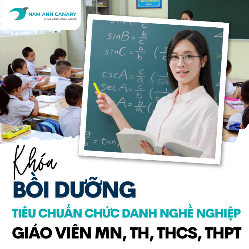 Chức danh nghề nghiệp giáo viên: MN, TH, THCS, THPT